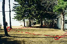 The site